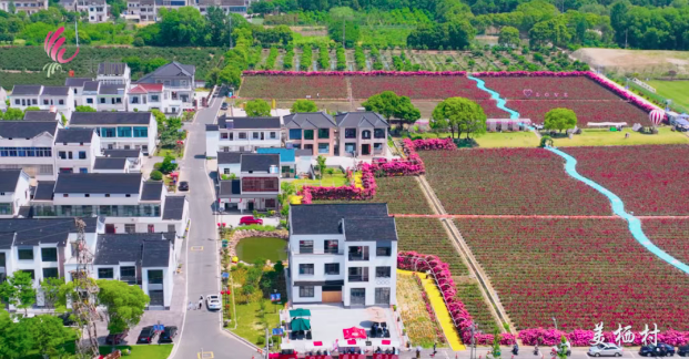 徐舍鎮(zhèn)美棲村：“美麗”產(chǎn)業(yè)扮靚鄉(xiāng)村