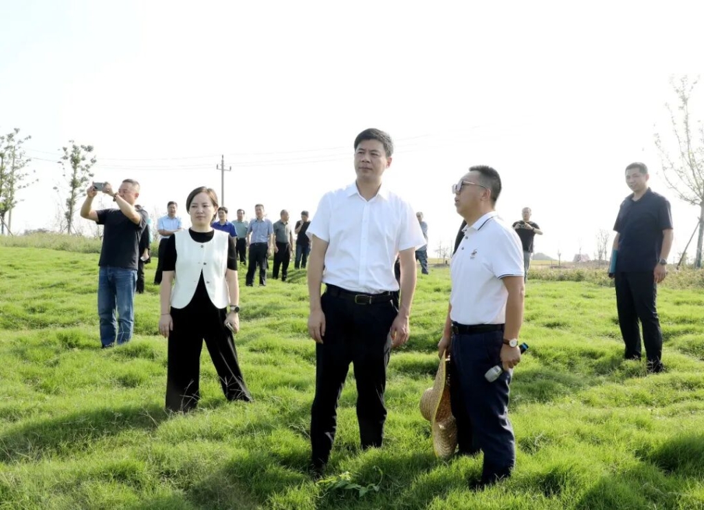 生態(tài)優(yōu)先賦新能 產(chǎn)業(yè)升級促發(fā)展 | 和橋鎮(zhèn)開展人大代表、政協(xié)委員三季度聯(lián)合視察活動